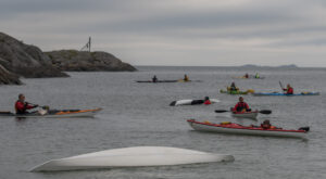 Kayakers train rescuing and rolling