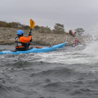 Kayak examinations